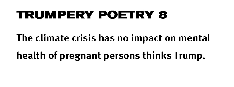 trumpery poetry
